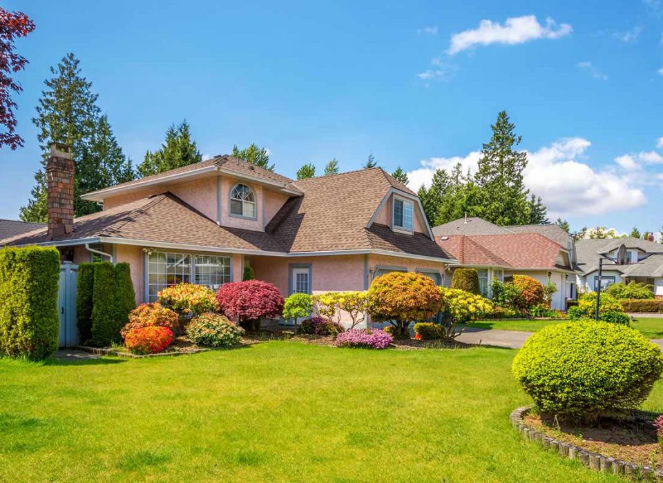 Landscaping Construction